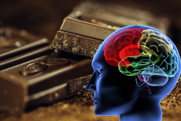 Между кусочком черного шоколада и здоровьем мозга существует прямая связь